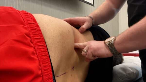 ASE Seminars Orthopedic & Sports Certification - Image 6