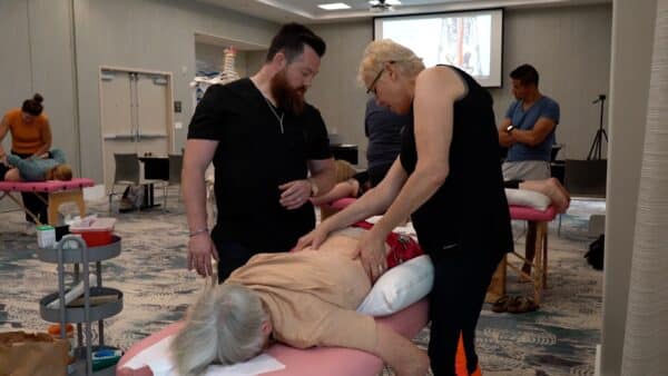 ASE Seminars Orthopedic & Sports Certification - Image 2