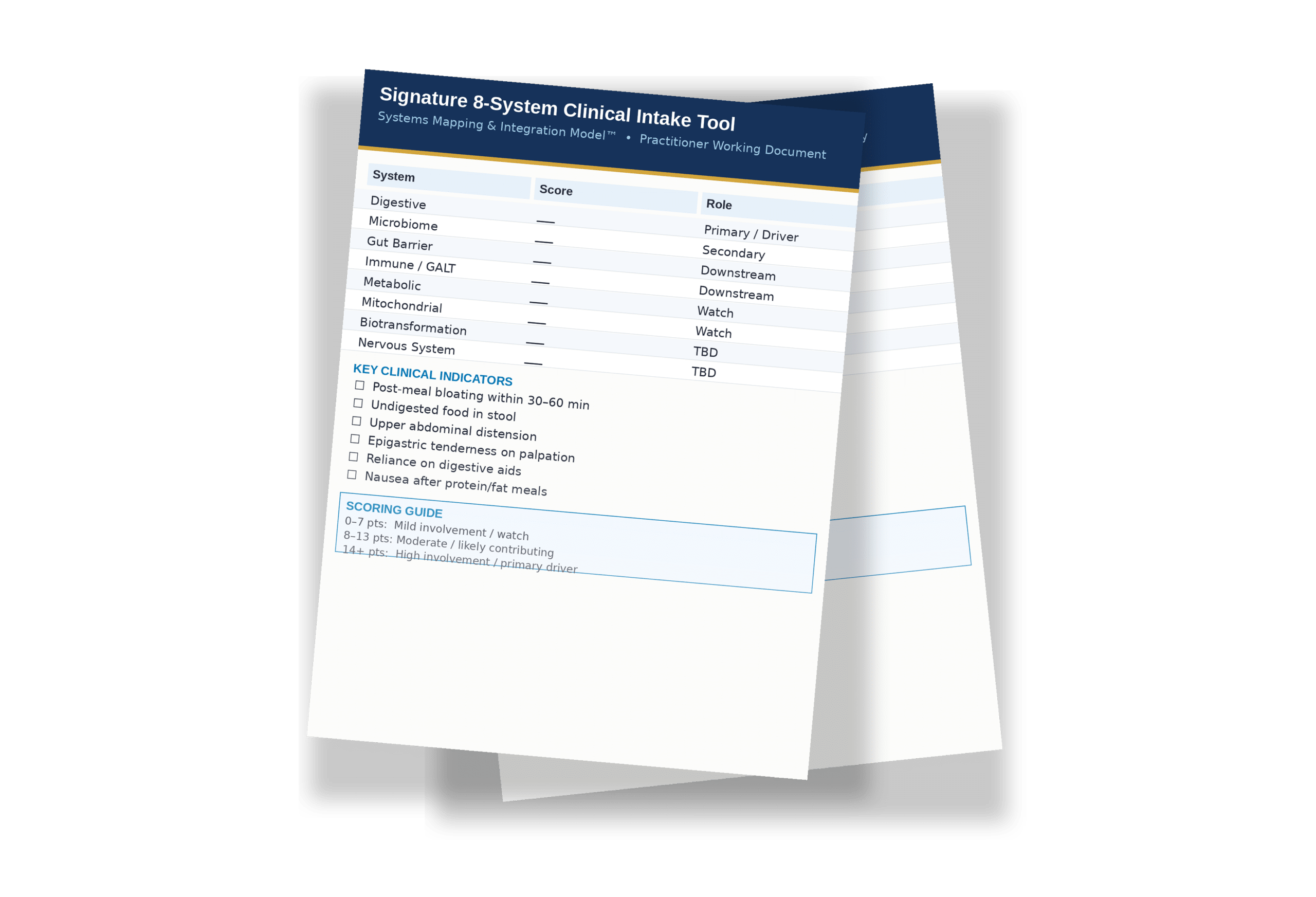 Systems Mapping Clinical Handout Preview